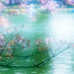 桜と水面